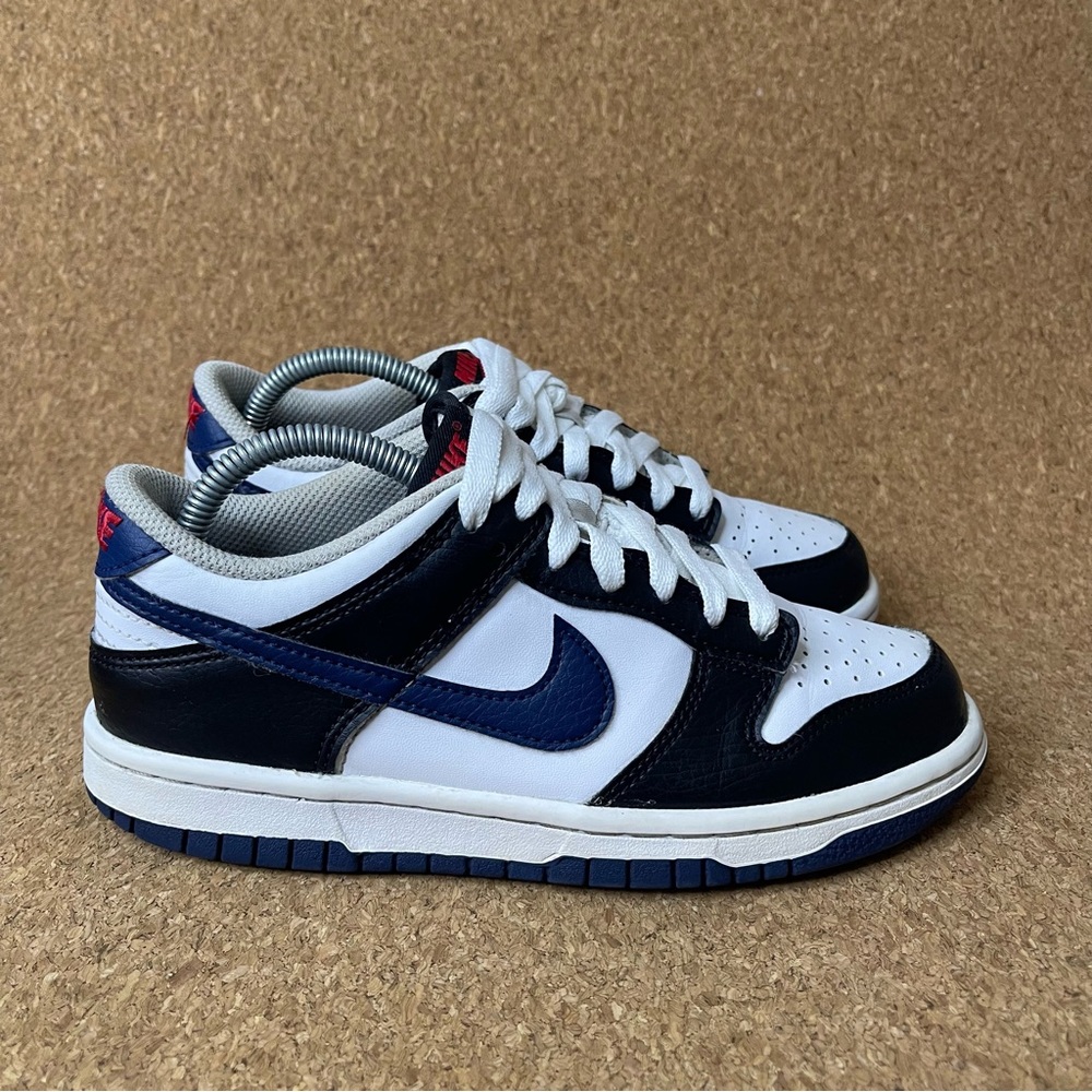 Nike Kids dunks